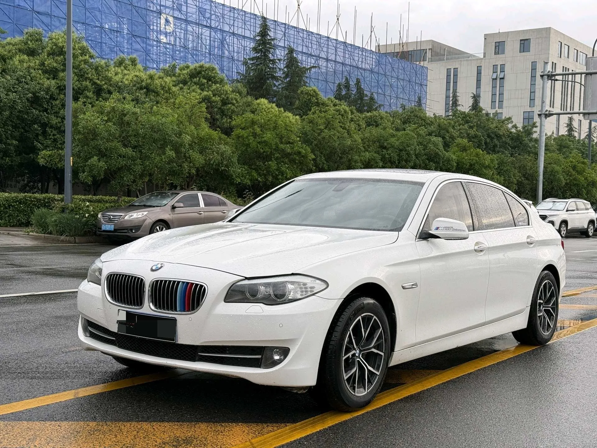 2013 BMW 5 Series 525Li Excellence Edition