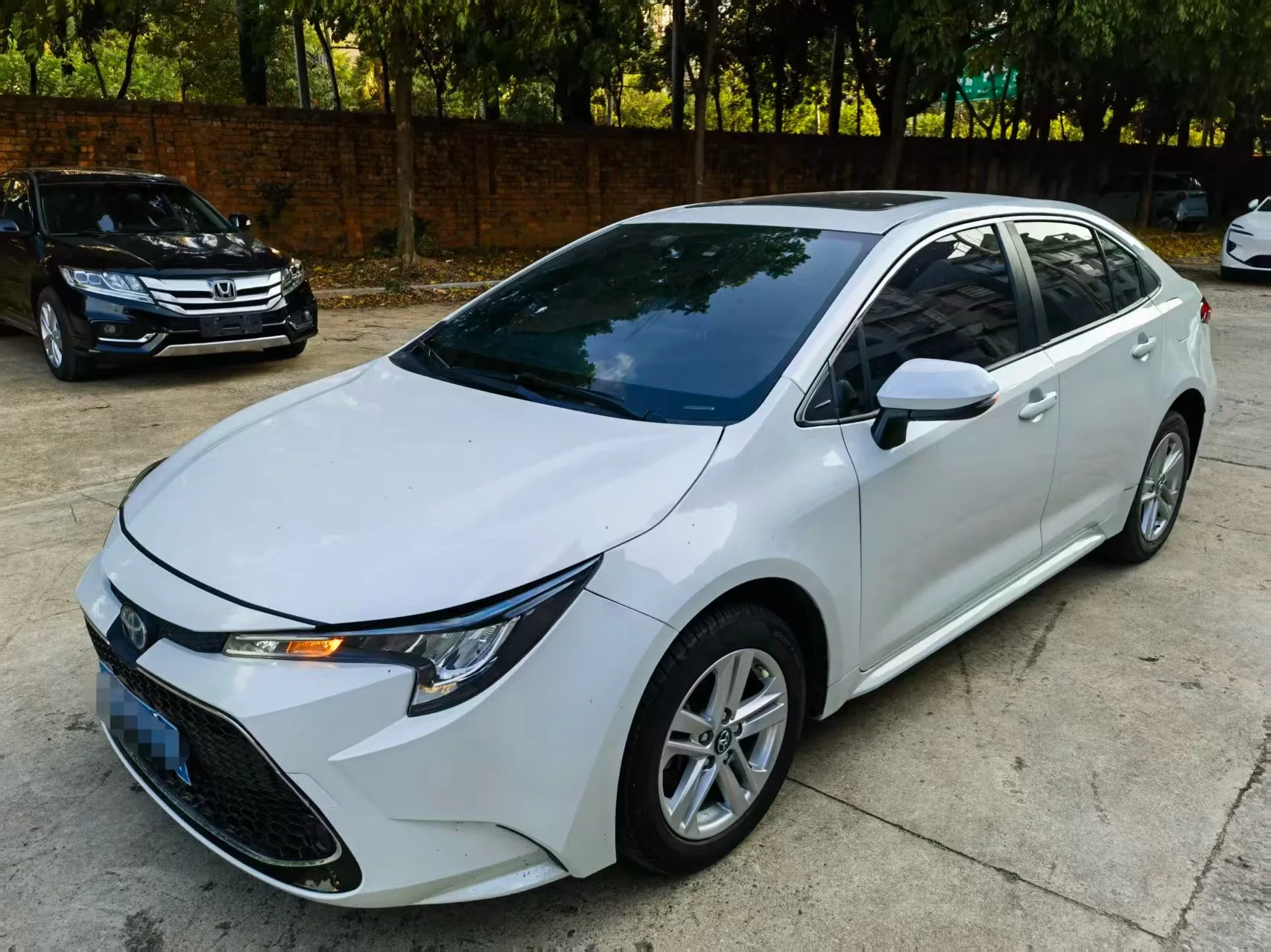 Levin 2022 Hybrid 1.8H E-CVT Sport Edition
