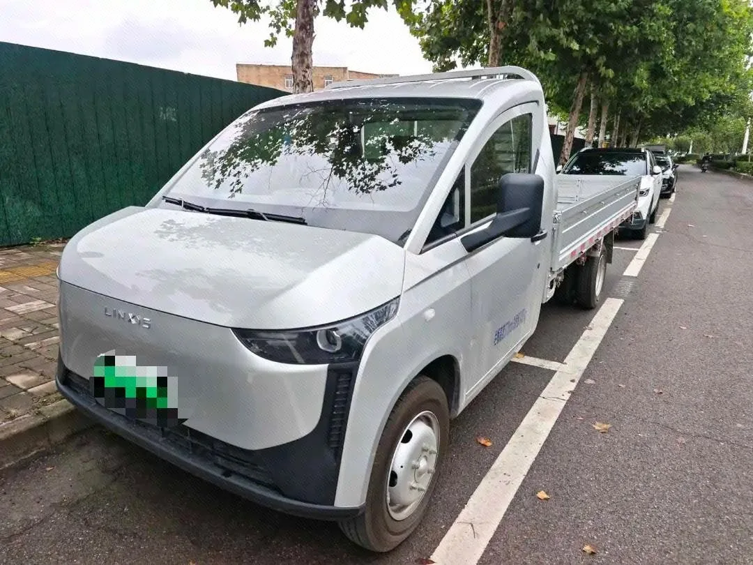Ling Shi 2026 Model, Dola Small Cargo Van, 350 km, Leap Edition, Automatic Transmission