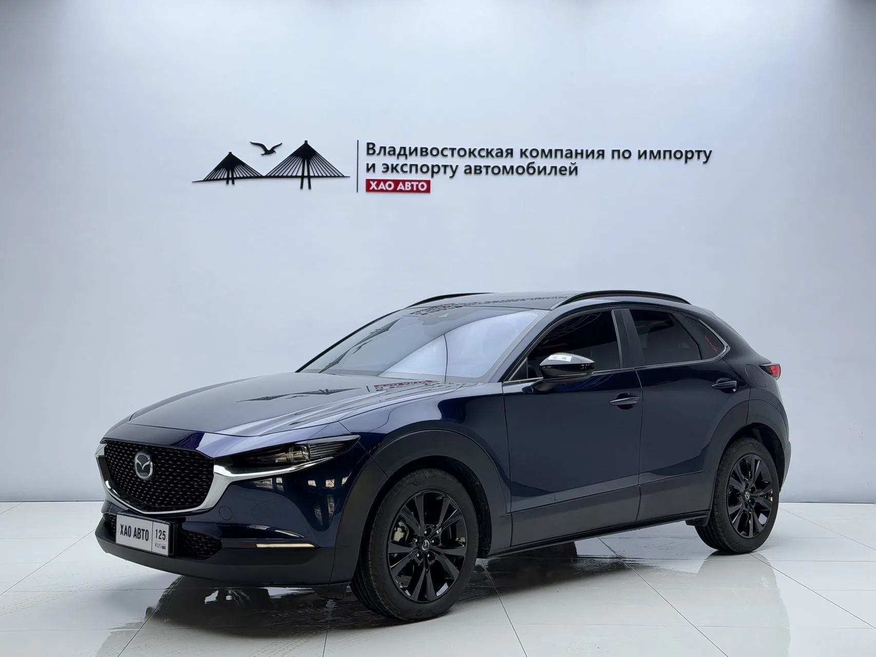 Mazda CX-30 2022 2.0L Automatic Joyful Black Edition