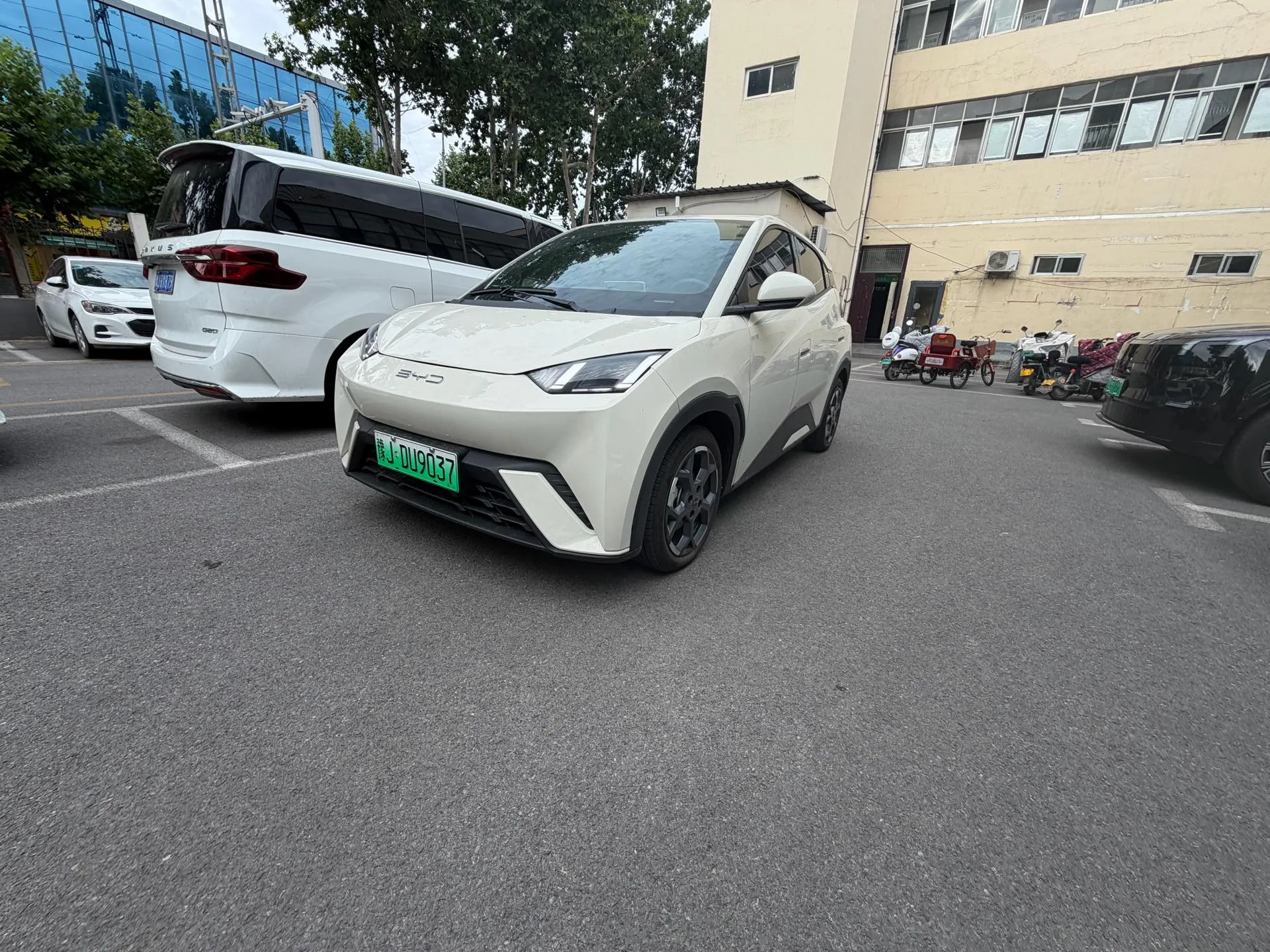 BYD 2023 Seagull Freedom Edition Automatic