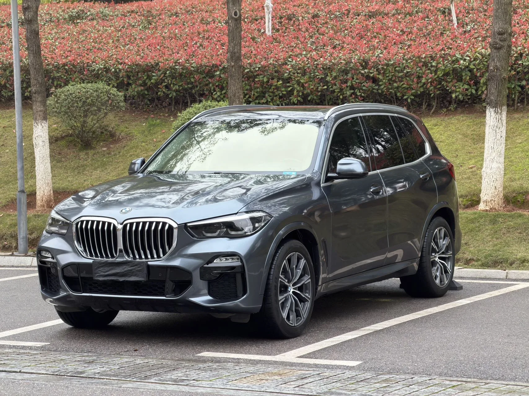BMW X5 (Imported) 2020 xDrive30i X Design Package