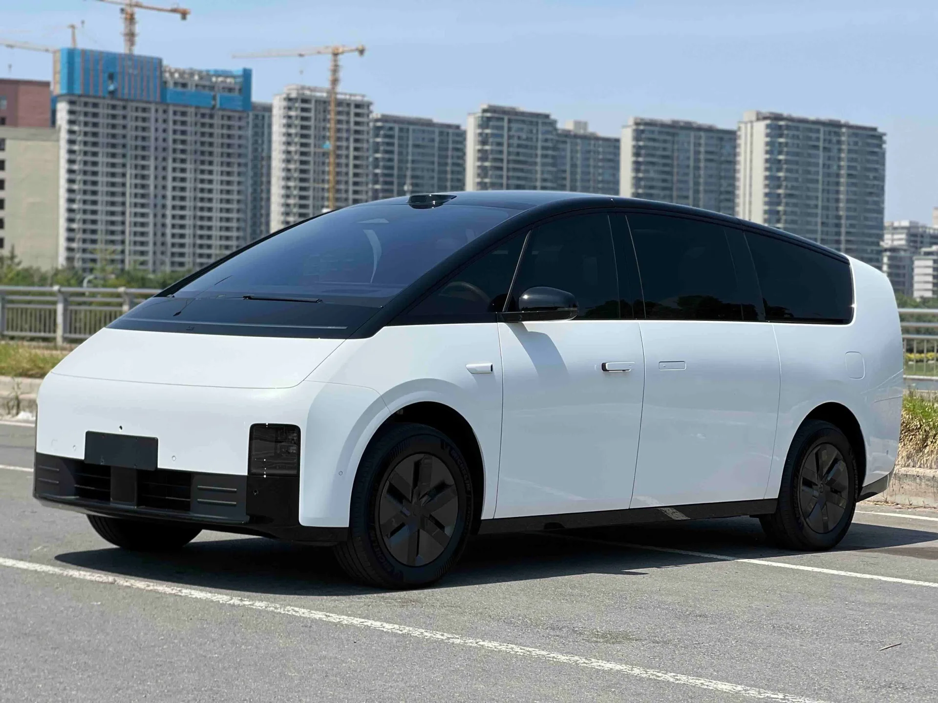 Li Auto 2025 MEGA Home Family Special Edition Automatic