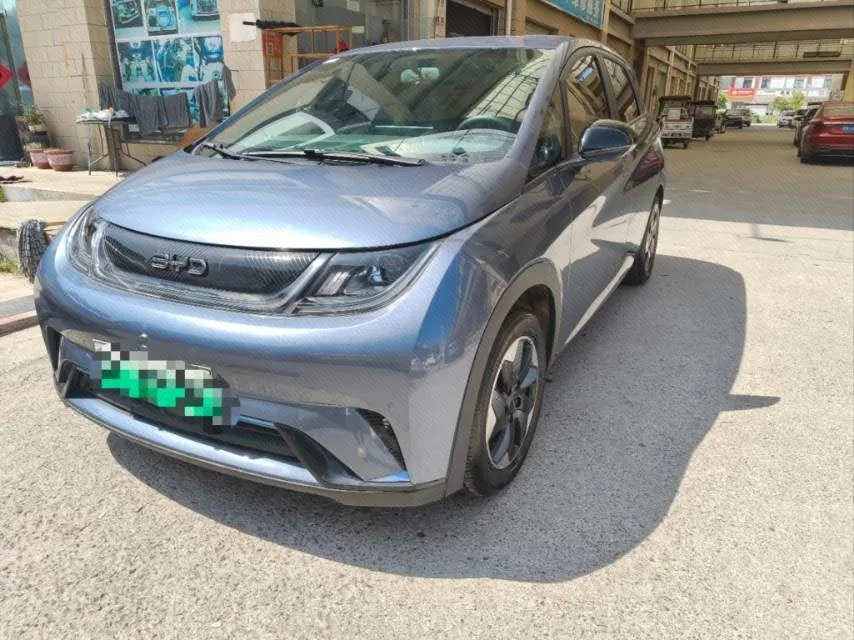 BYD 2025 Dolphin 420km Vitality Edition Automatic