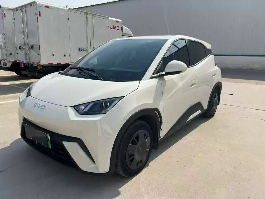 BYD 2023 Seagull Vitality Edition Automatic