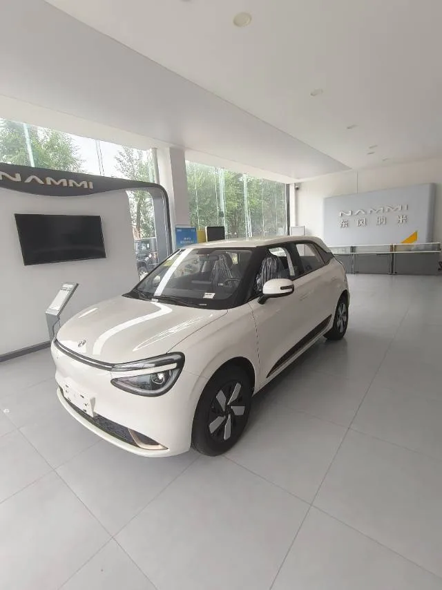 Dongfeng 2025 Nano 01 330 Driving School Edition, Automatic Transmission