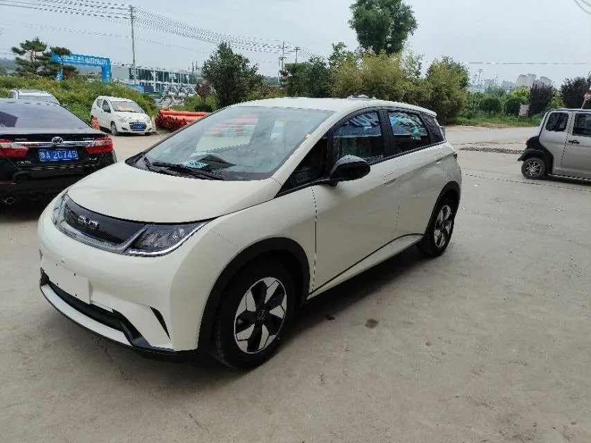 МИР 2025 Дельфин 420 км Свобода Версия Автоматический