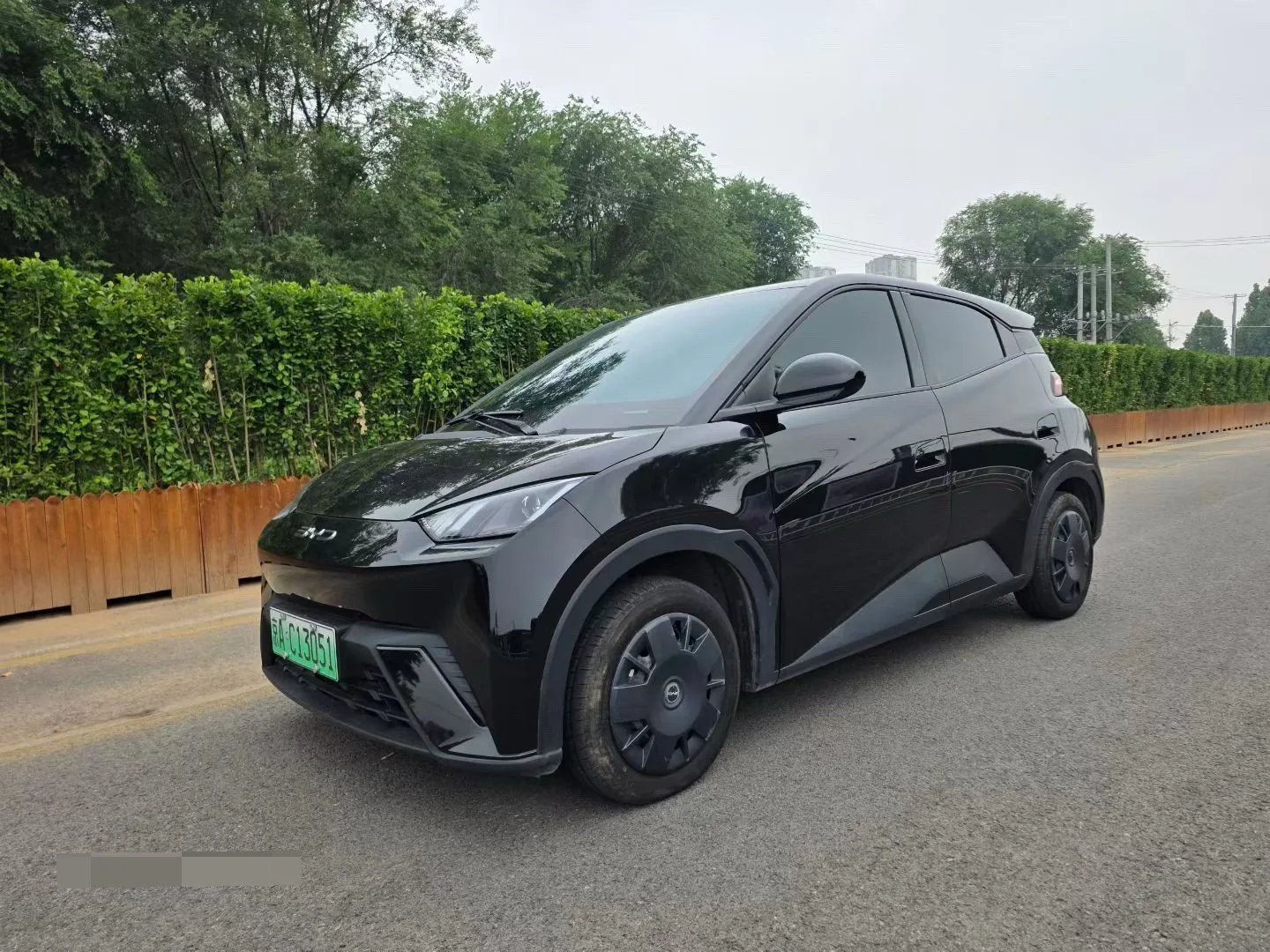 BYD 2023 Seagull Vitality Edition Automatic