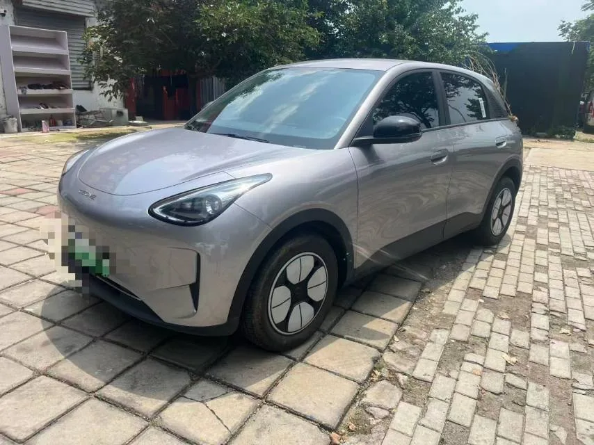 Star Wish 2025 310km Youth Edition