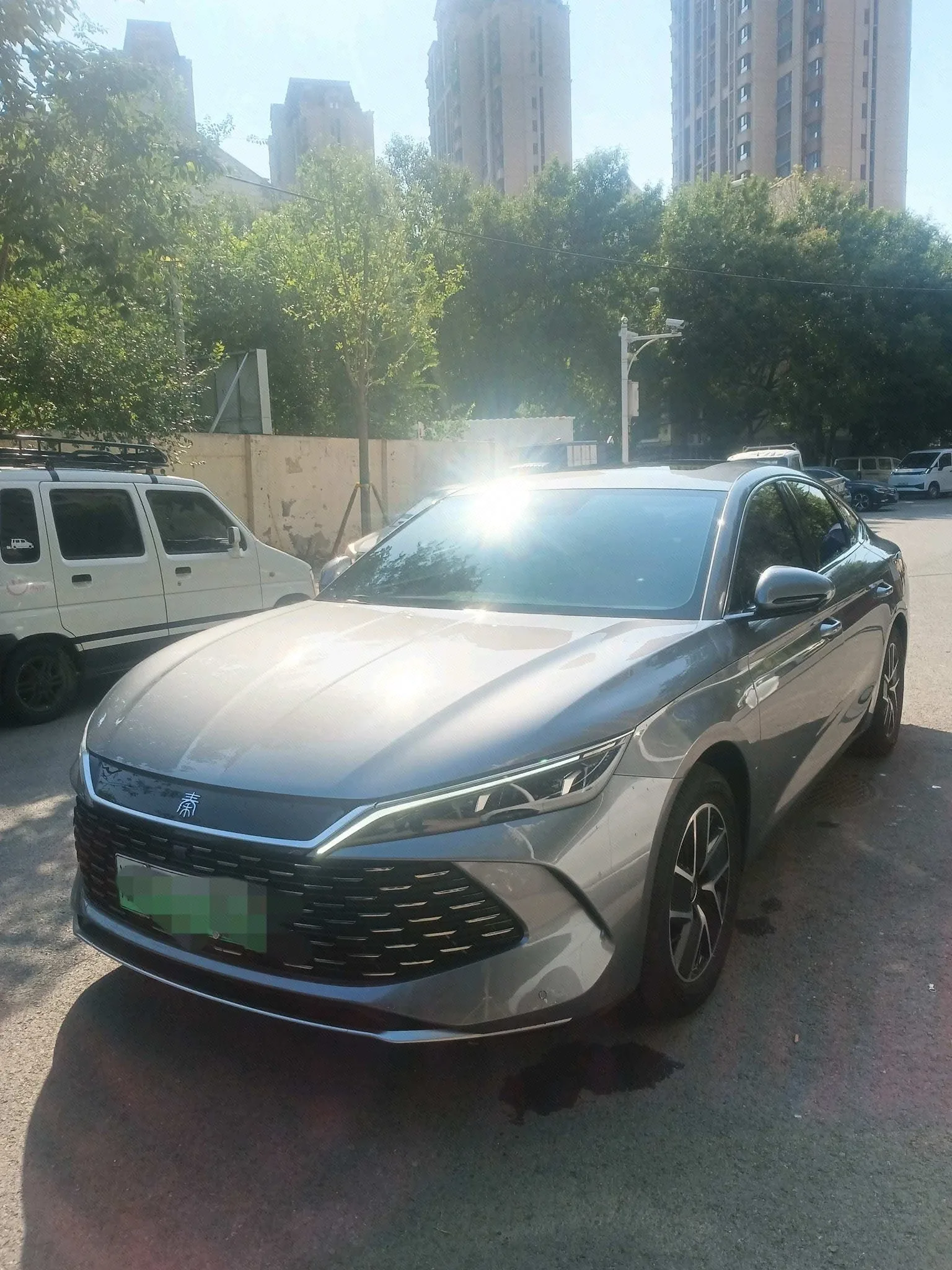 Qin L 2024 DM-i 120KM Leading Edition