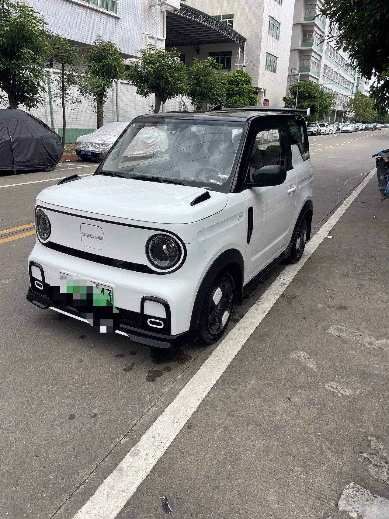 Geely 2025 Panda MINI 210km Panda Go-Kart Automatic