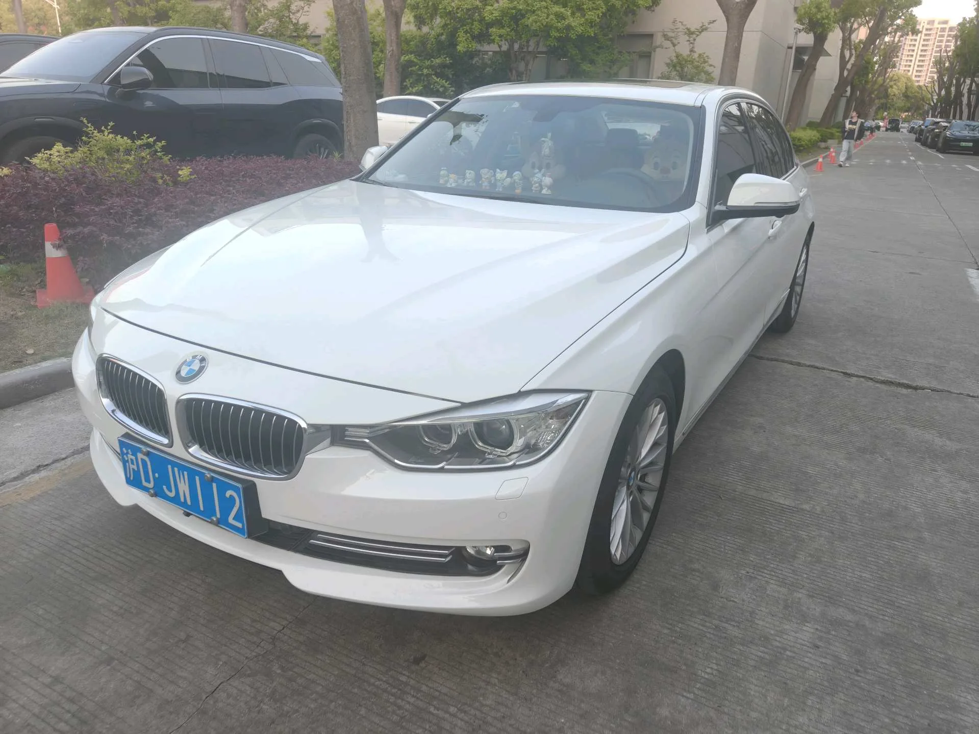 2013 BMW 3 Series Facelift 320Li Luxury Design Package