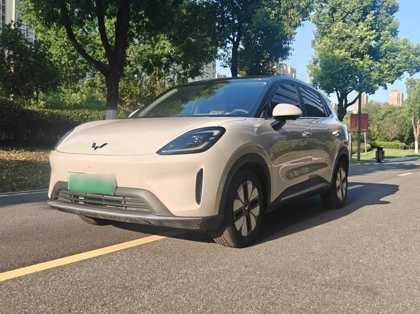Bingo S 2025 430km Premium Edition