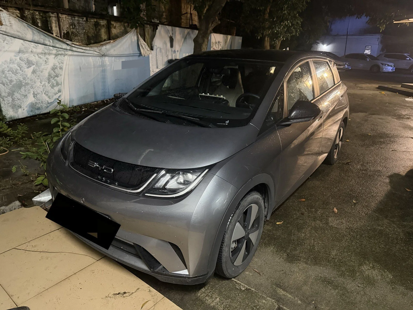 BYD 2023 Dolphin 420km Fashion Edition Automatic