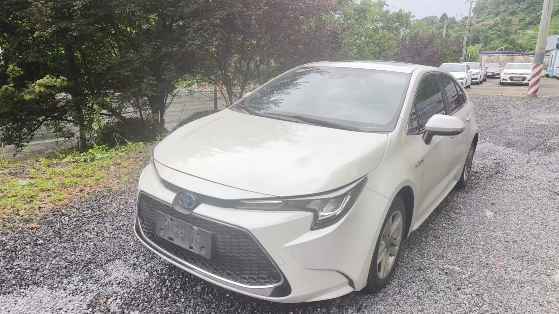 莱文 2021 杂交种 1.8小时 电子变速变速器 奢华 版
