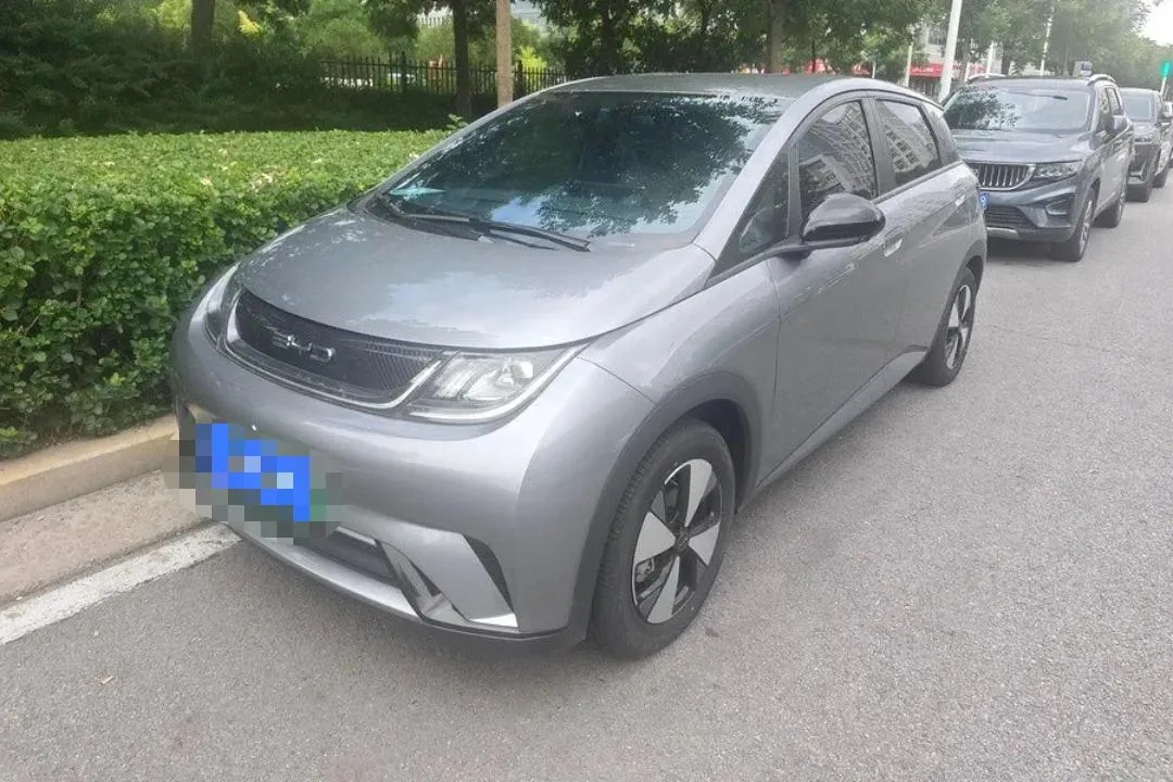 BYD 2023 Dolphin 420km Freedom Edition Automatic