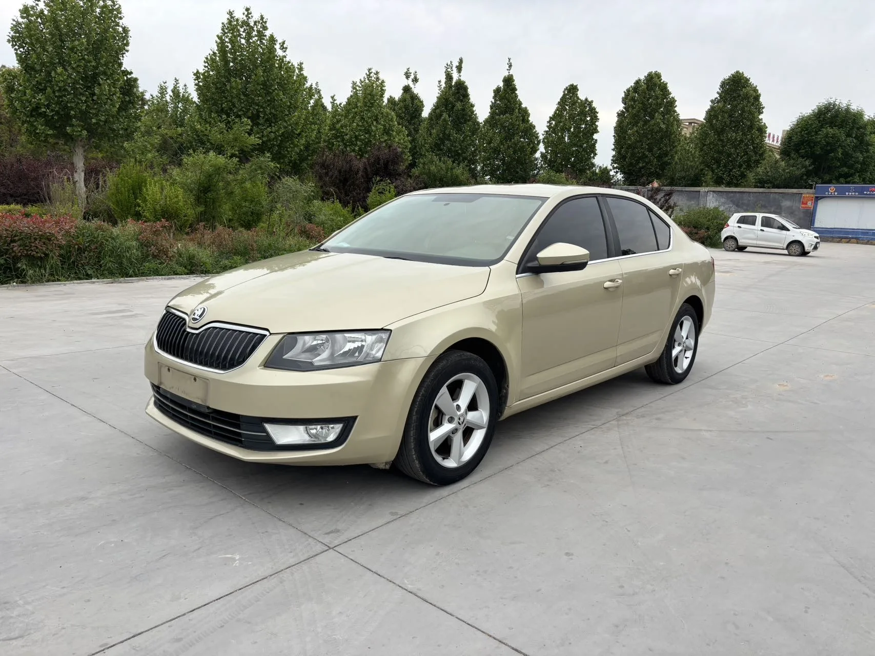 Octavia 2015 1.6L Automatic Elegance Edition