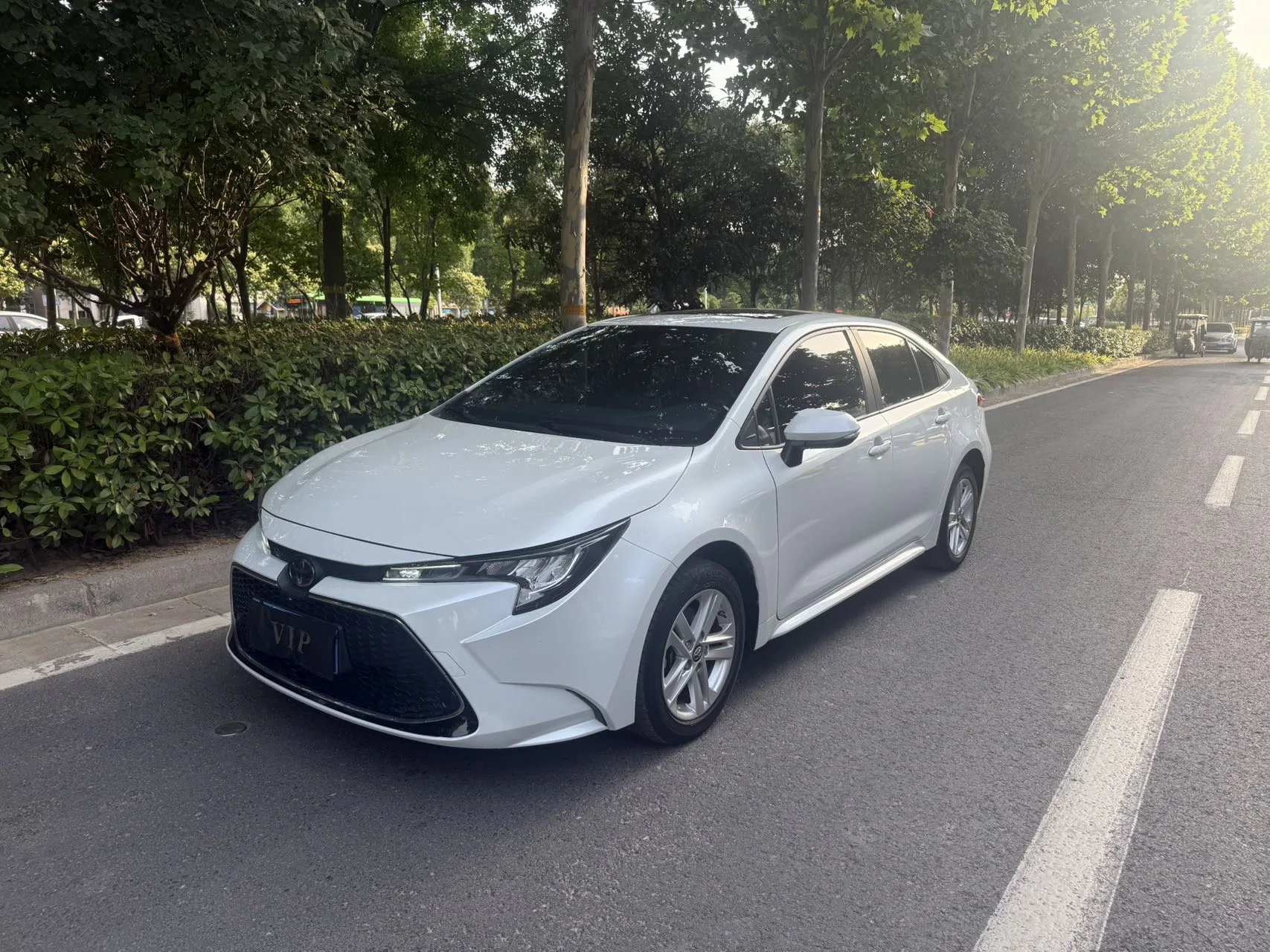 Levin 2019 185T CVT Luxury Edition (National V Emission Standard)