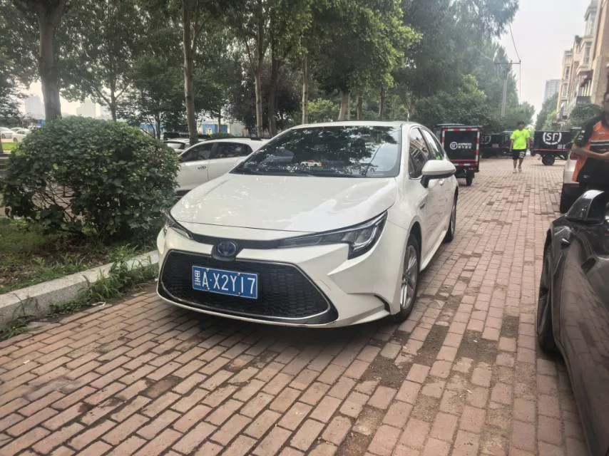 Levin 2019 Hybrid 1.8H E-CVT Luxury Edition (National V Emission Standard)
