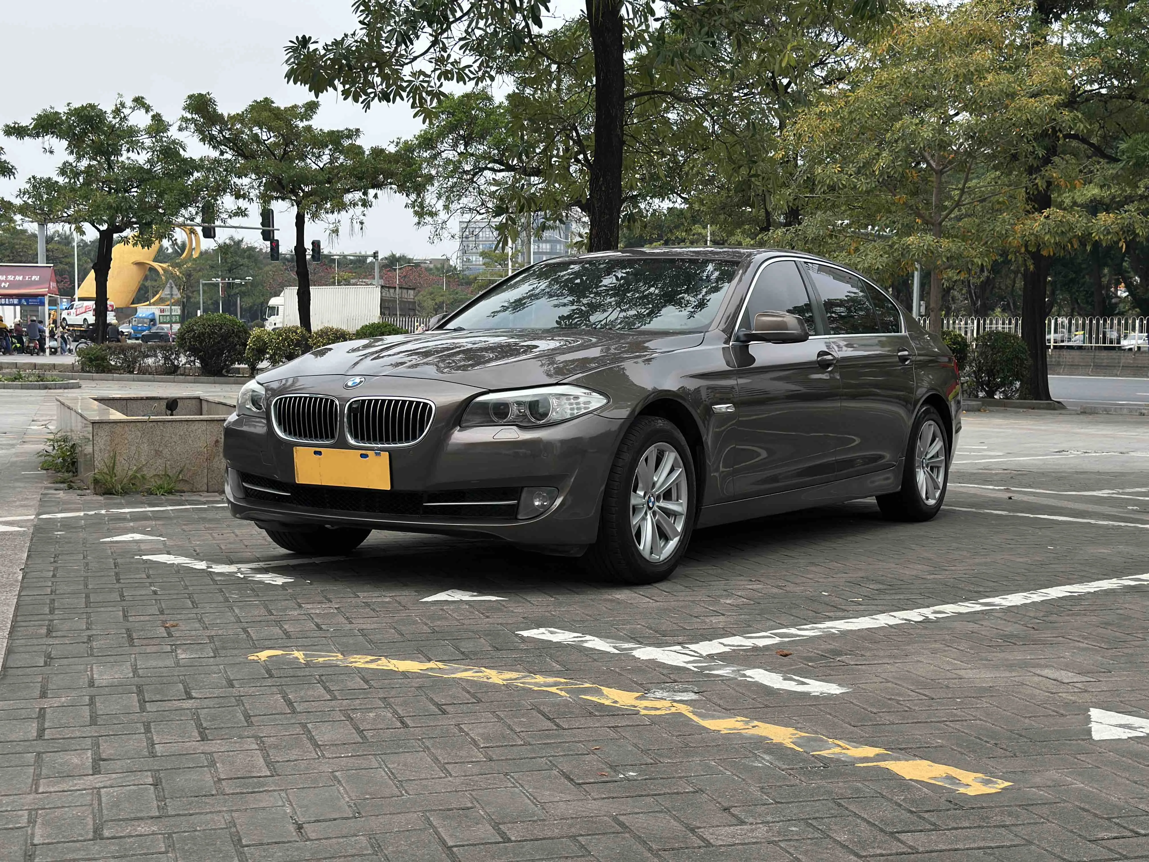 2013 BMW 5 Series 525Li Excellence Edition