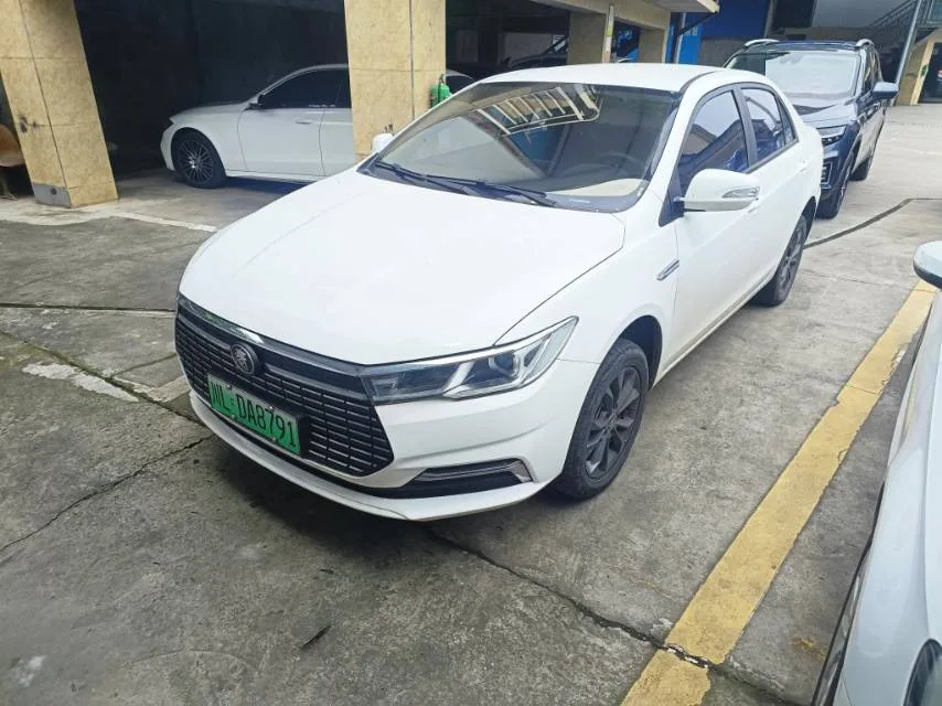 Qin New Energy 2021 Travel Edition