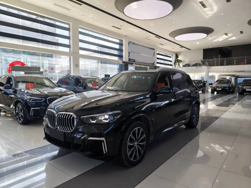 BMW X5 2022 xDrive 30Li M Sport Package