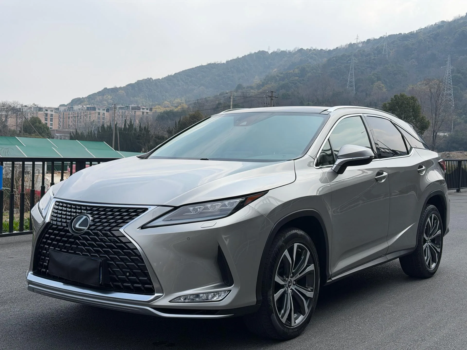 Lexus RX 2020 300 AWD Elegant Edition (China V Emission Standard)