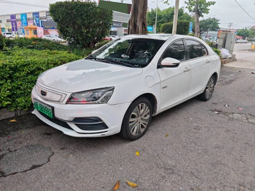 Geely New Energy 2017 EV300 Elite