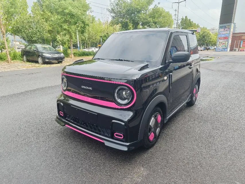 Geely 2025 Panda MINI 210km Panda Go-Kart Automatic