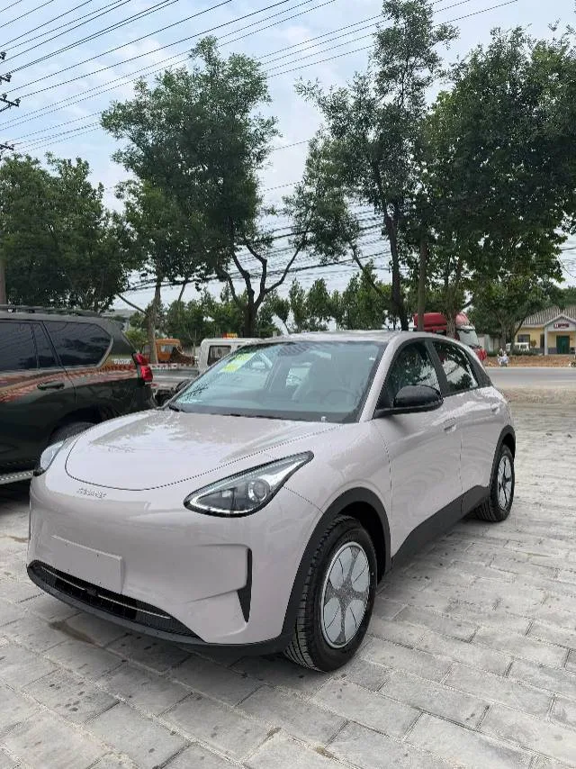 Star Wish 2026 Model 310km Youth Edition
