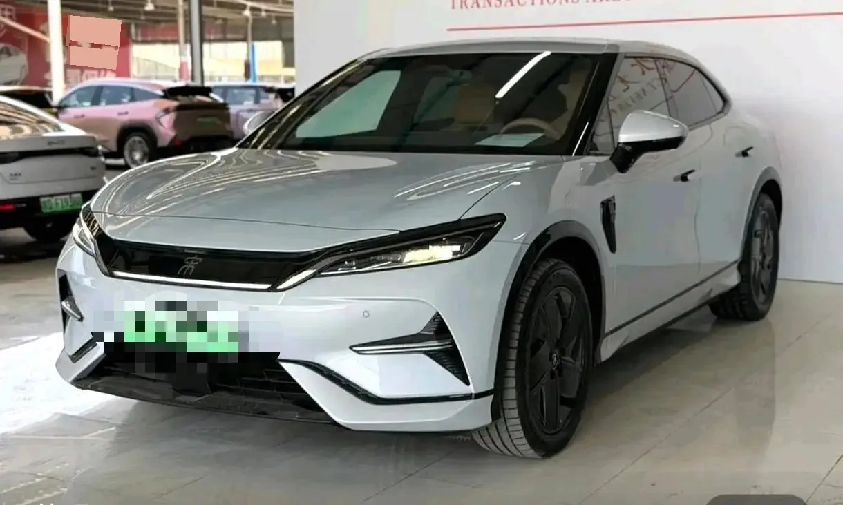 Song L 2024 Model 550km Excellent Edition
