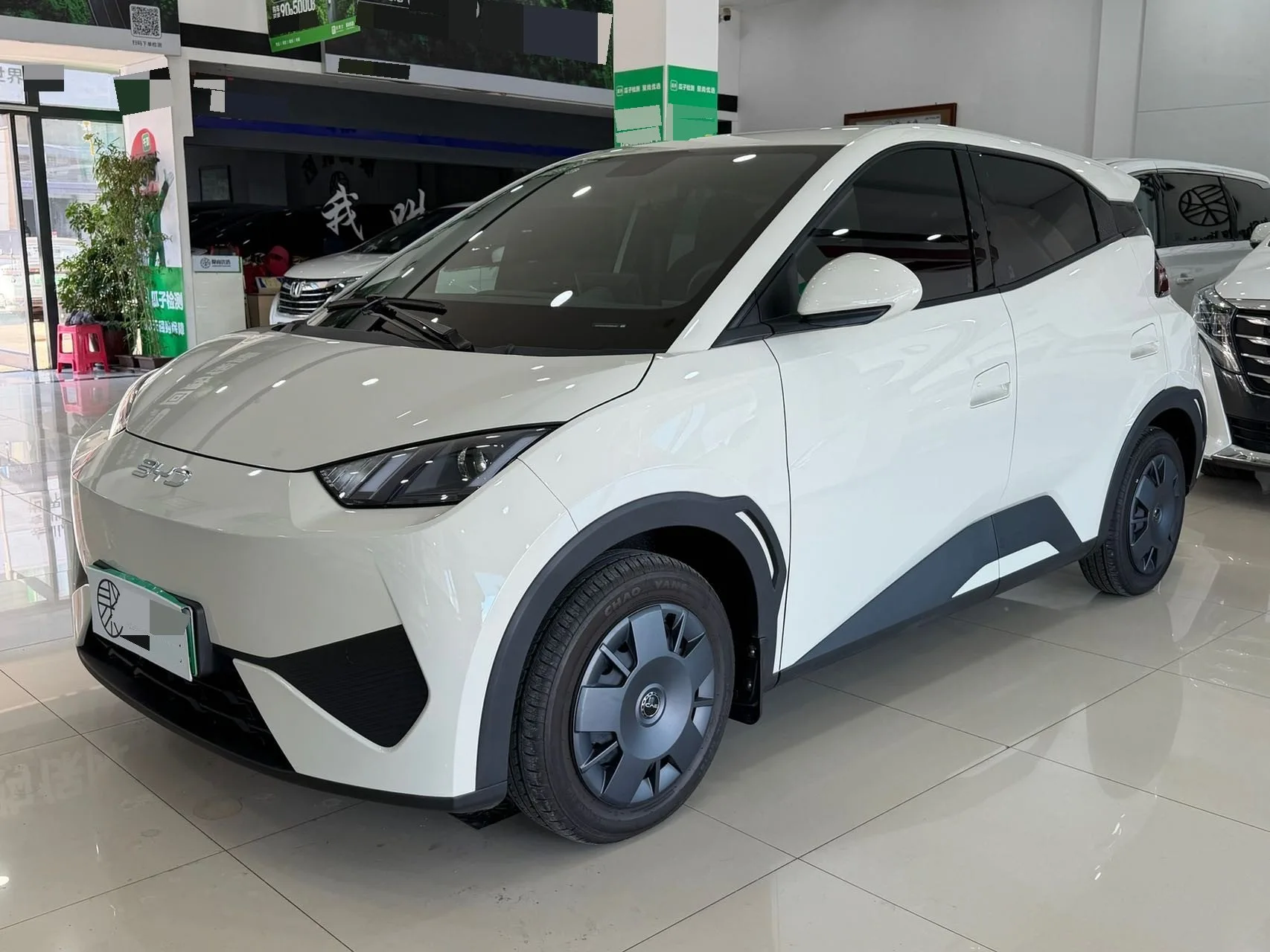 BYD 2025 Seagull Smart Driving Edition 305km/h Vitality Edition Automatic