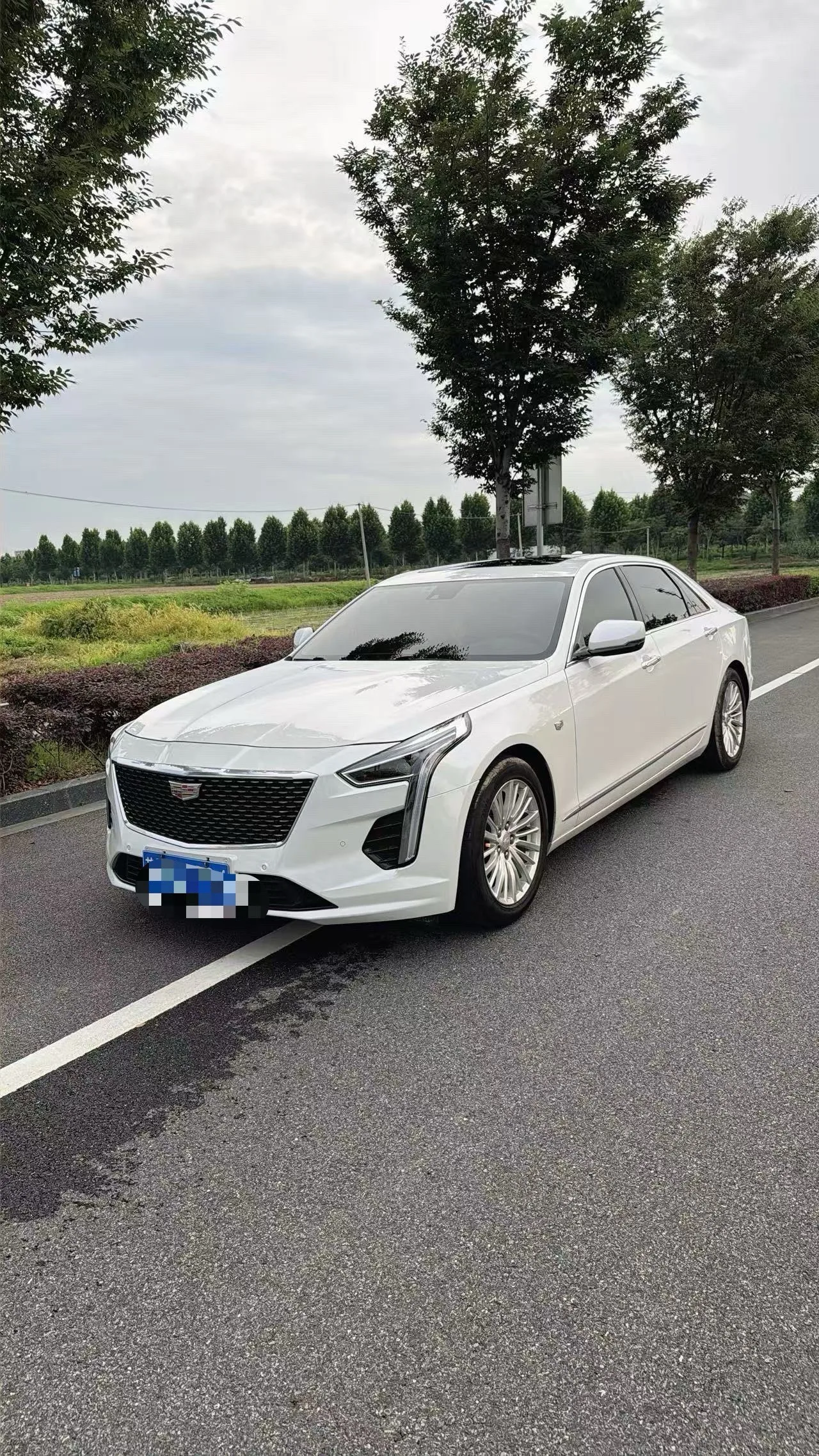 2019 凯迪拉克 CT6 28吨 奢华 运动