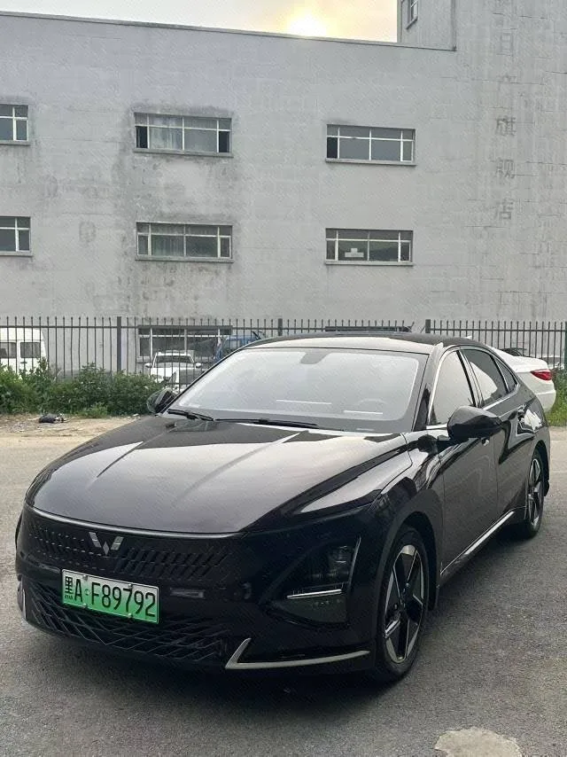 Wuling Xingguang 2024 Co-creation Edition 150 Navigator Model