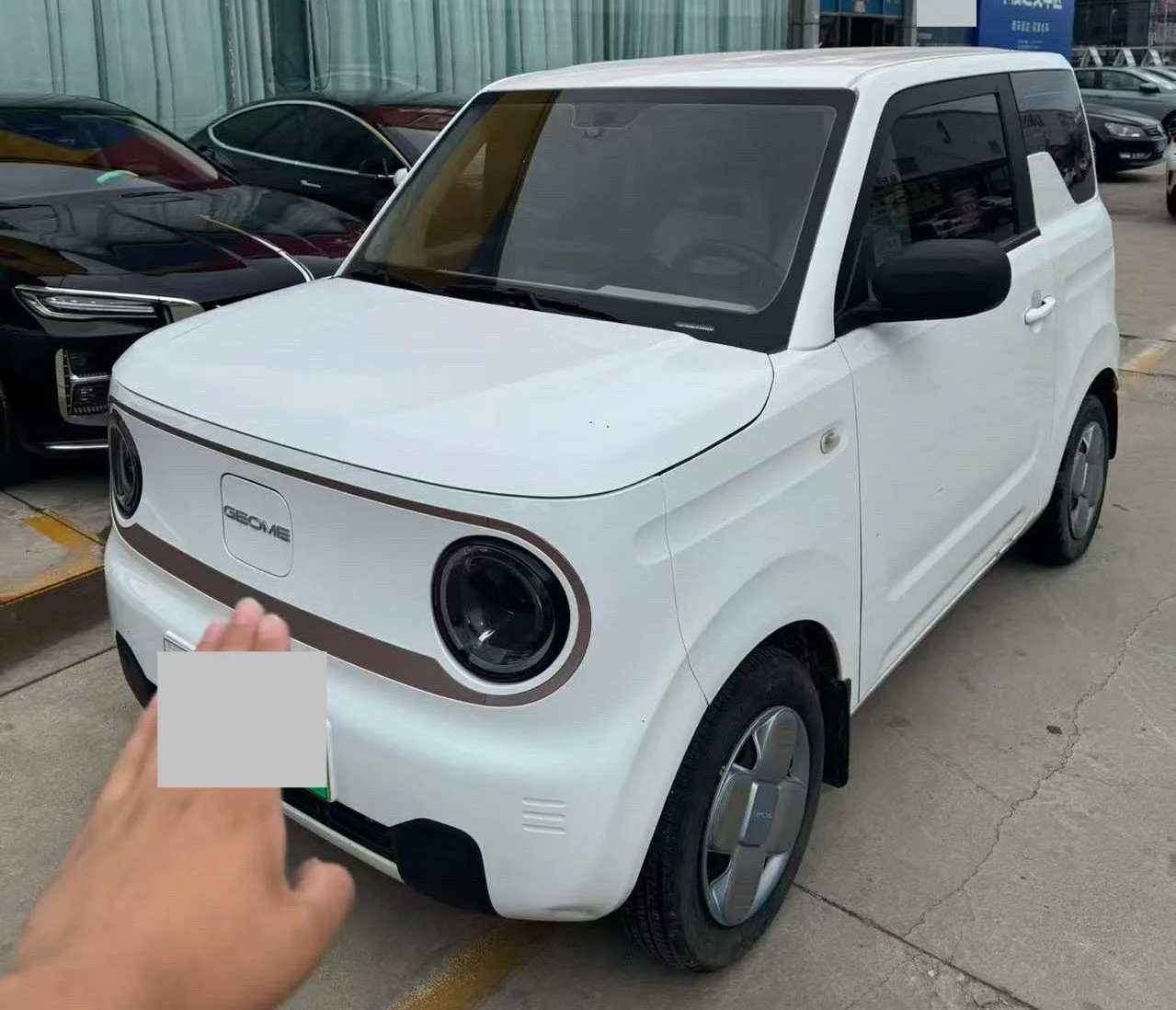 Panda 2023 Panda Mini 120km Asian Games Panda