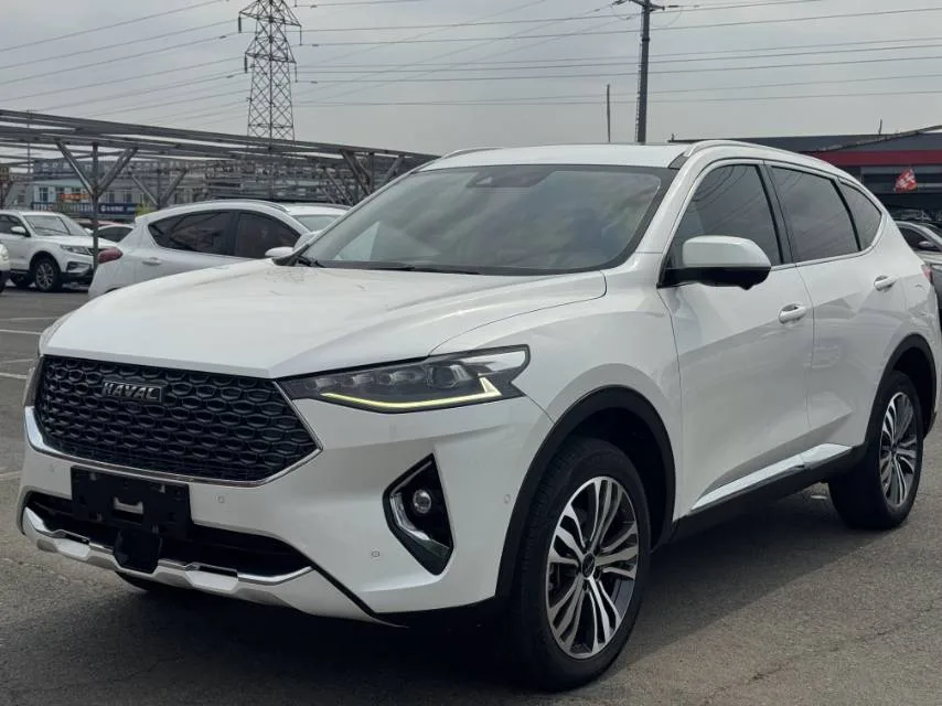 Haval F7x 2021 2.0T Two-Wheel Drive Intelligent Technology Edition