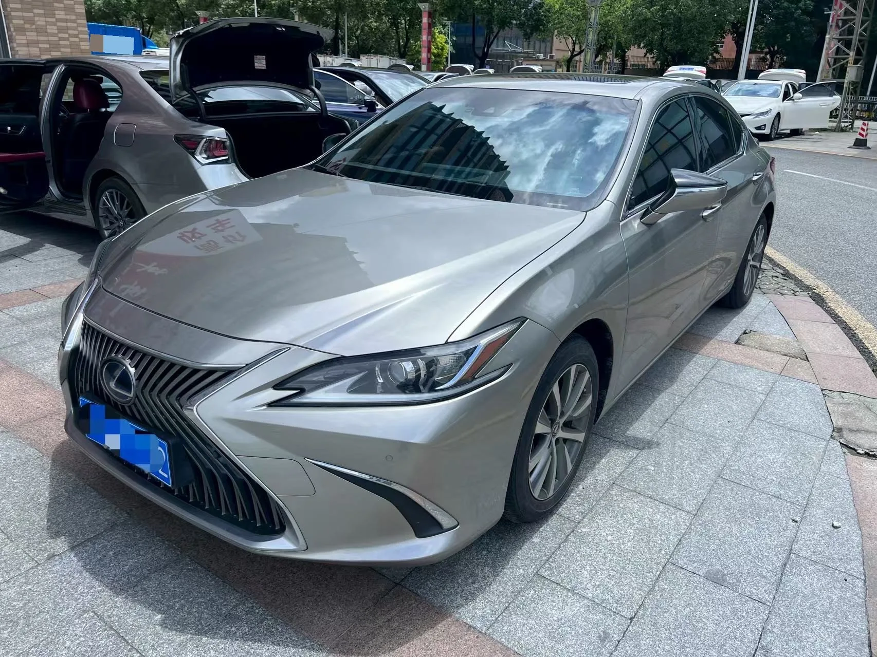 Lexus ES 2018 300h Premium Edition (China V Emission Standard)