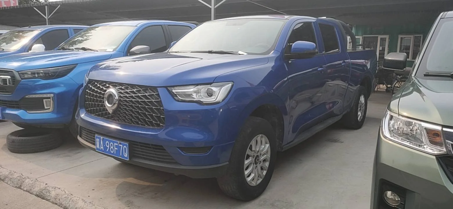 Pao 2019 2.0T Commercial Edition Automatic Gasoline 2WD Elite Long Bed GW4C20B