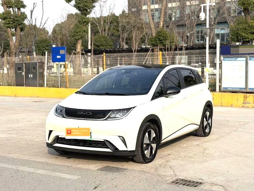 BYD 2023 Dolphin 420km Fashion Edition Automatic