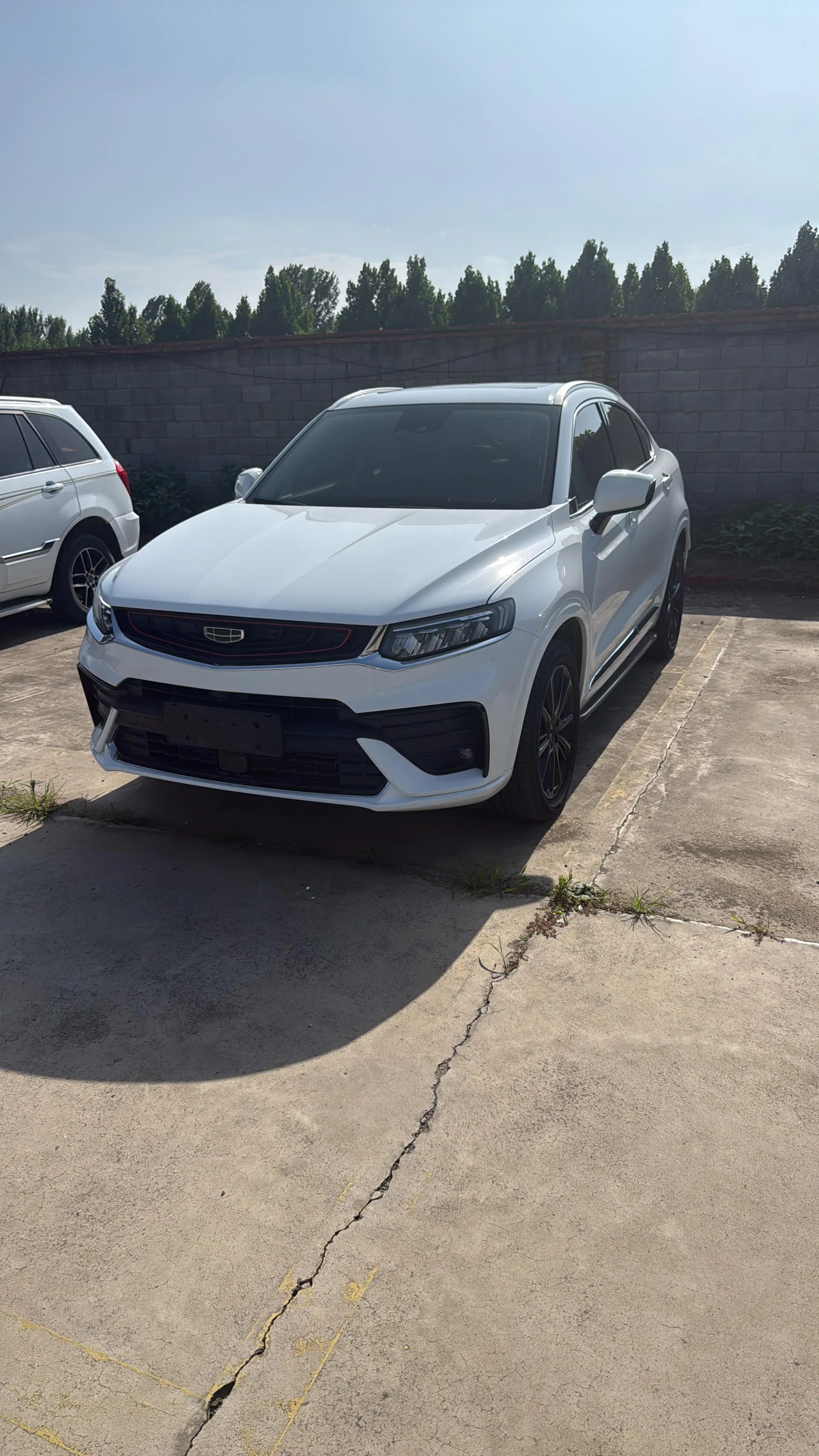 Xingyue 2020 High-Performance Edition 350T Star Shiner