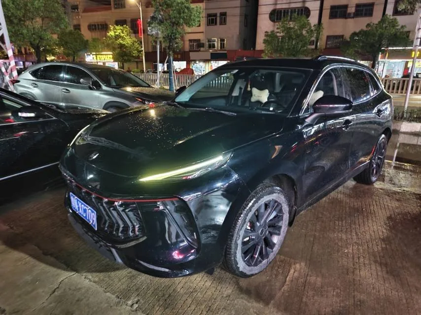 Fengxing T5 EVO 2021 1.5TD DCT Goddess Edition