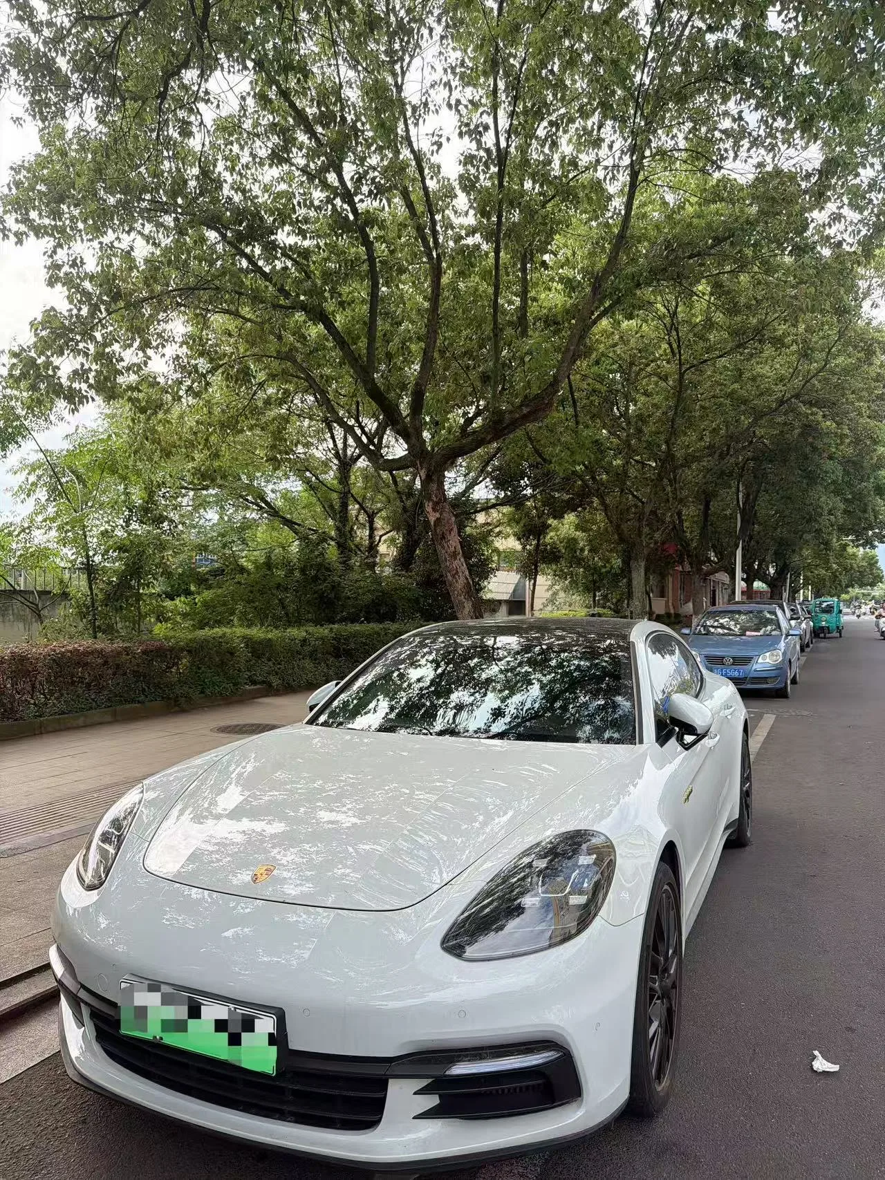 Panamera New Energy 2018 Panamera 4 E-Hybrid 2.9T