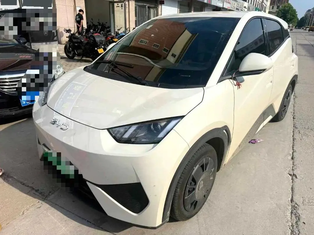 BYD 2025 Seagull 305km/h Vitality Edition Automatic
