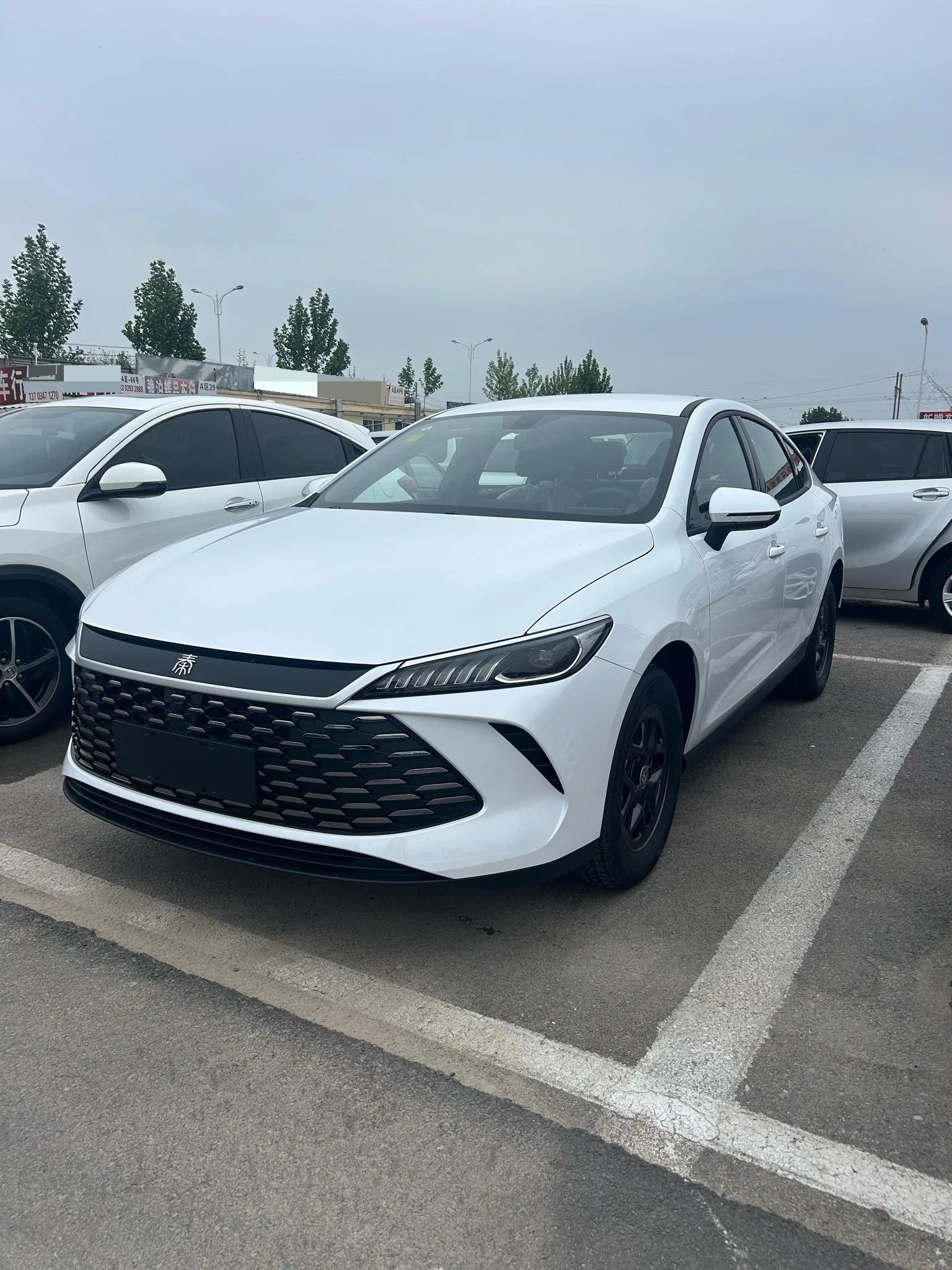 BYD 2024 Qin PLUS DM-i 1.5 CVT Glory Edition 120KM Leading Model Automatic