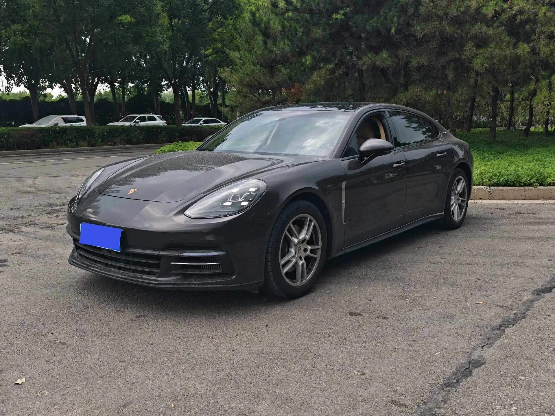 2019 Panamera Executive Long-Wheelbase 2.9T