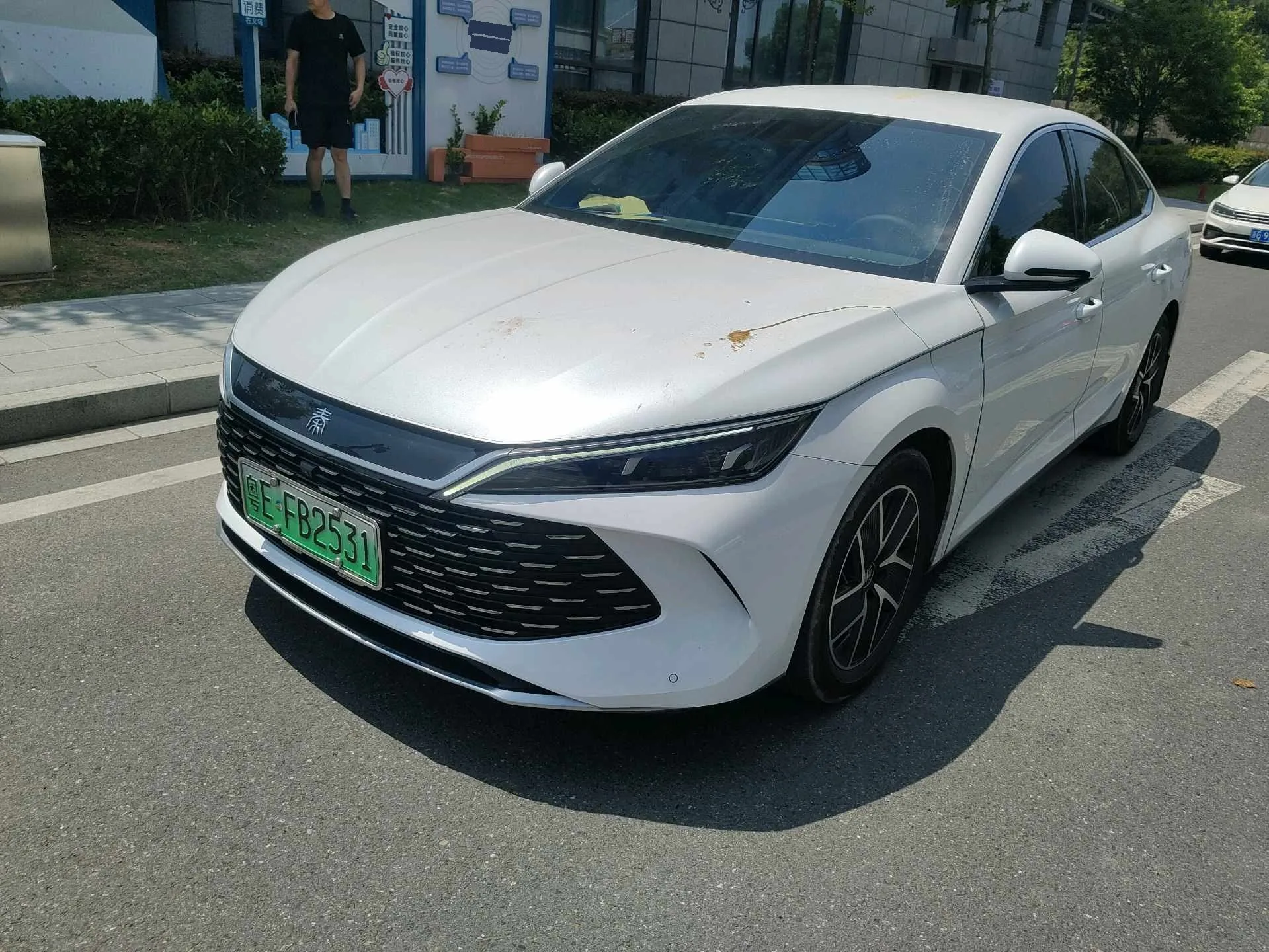 Qin L 2024 DM-i 80KM Super Edition