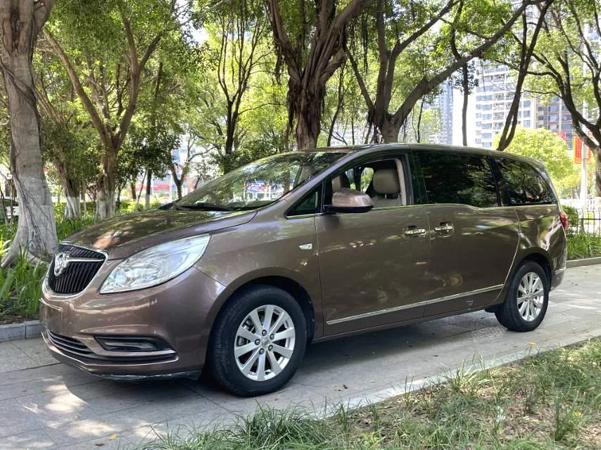 2018 Buick GL8 28T Luxury Edition (China VI)