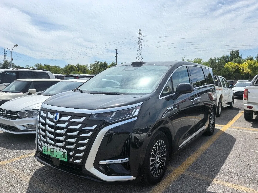 Denza 2025 Denza D9 DM-i 1.5T CVT AWD Premium Automatic