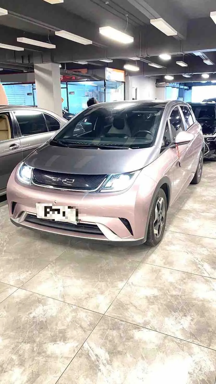 Dolphin 2021 405km Fashion Edition