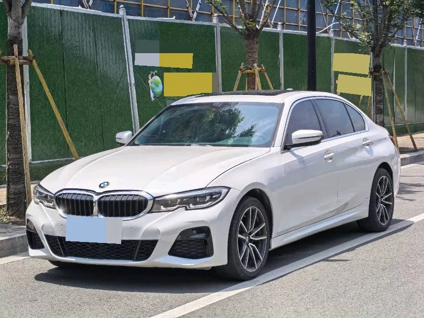 2020 BMW 3 Series 320Li M Sport Package